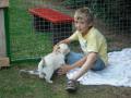 Welpen Tag der Geburt
