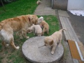 DSCI4697.JPG