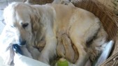 20160223_164912.jpg