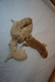 DSC00872.JPG