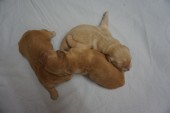 DSC00875.JPG