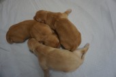 DSC00876.JPG