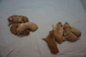 DSC00878.JPG