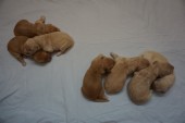 DSC00879.JPG