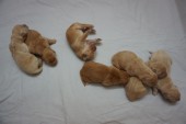 DSC00880.JPG