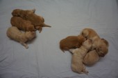 DSC00881.JPG
