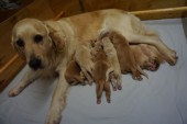 DSC00890.JPG