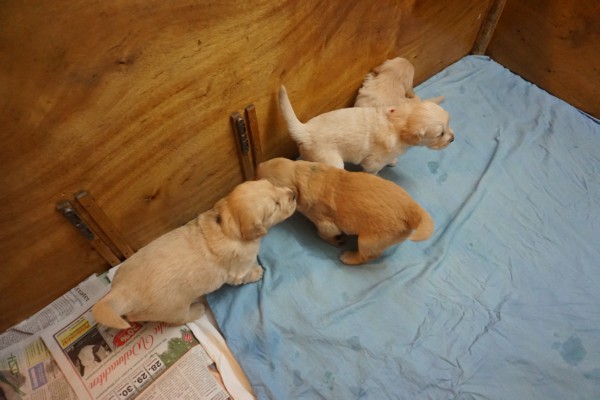 DSC00912.JPG