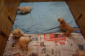 DSC00906.JPG