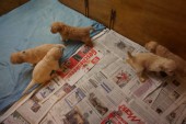 DSC00908.JPG