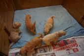 DSC00909.JPG