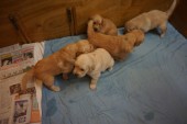 DSC00914.JPG