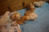 DSC00915.JPG