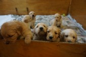 DSC00925.JPG