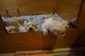 DSC00923.JPG