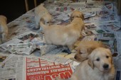 DSC00943.JPG