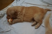 DSC00944.JPG