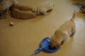 DSC00948.JPG
