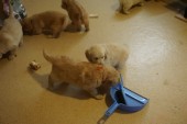 DSC00949.JPG