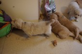 DSC00950.JPG