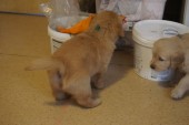 DSC00954.JPG
