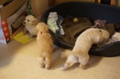 DSC00956.JPG