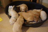 DSC00959.JPG