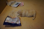DSC00971.JPG