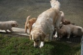DSC00983.JPG