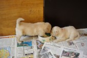 DSC00939.JPG