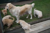 DSC00992.JPG