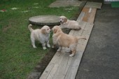 DSC00993.JPG