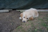 DSC01028.JPG