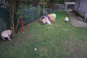 DSC01031.JPG