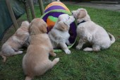 DSC01033.JPG