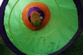 DSC01034.JPG