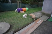 DSC01035.JPG