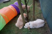 DSC01037.JPG