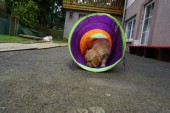 DSC01013.JPG
