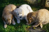 DSC01047.JPG