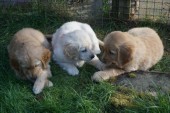 DSC01049.JPG