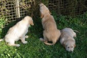 DSC01050.JPG