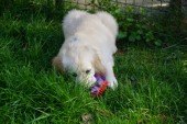 DSC01051.JPG