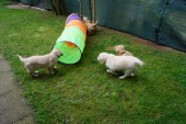 DSC01018.JPG