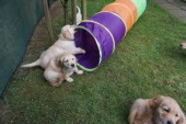DSC01019.JPG