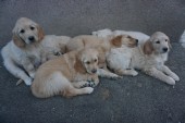 DSC01056.JPG