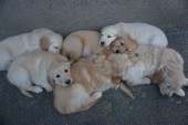 DSC01060.JPG