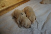 DSC02277.JPG