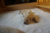 DSC02284.JPG