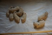 DSC02285.JPG